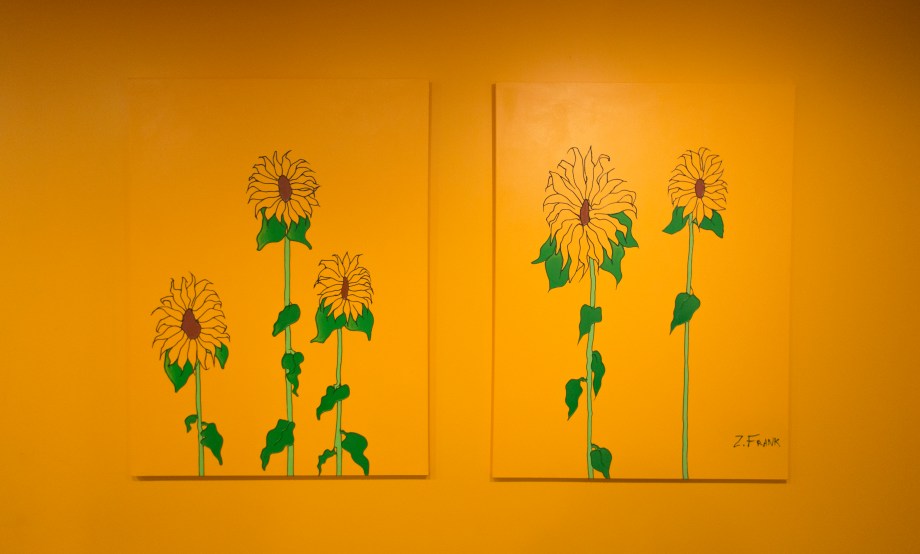 Fast Growing Sunflowers