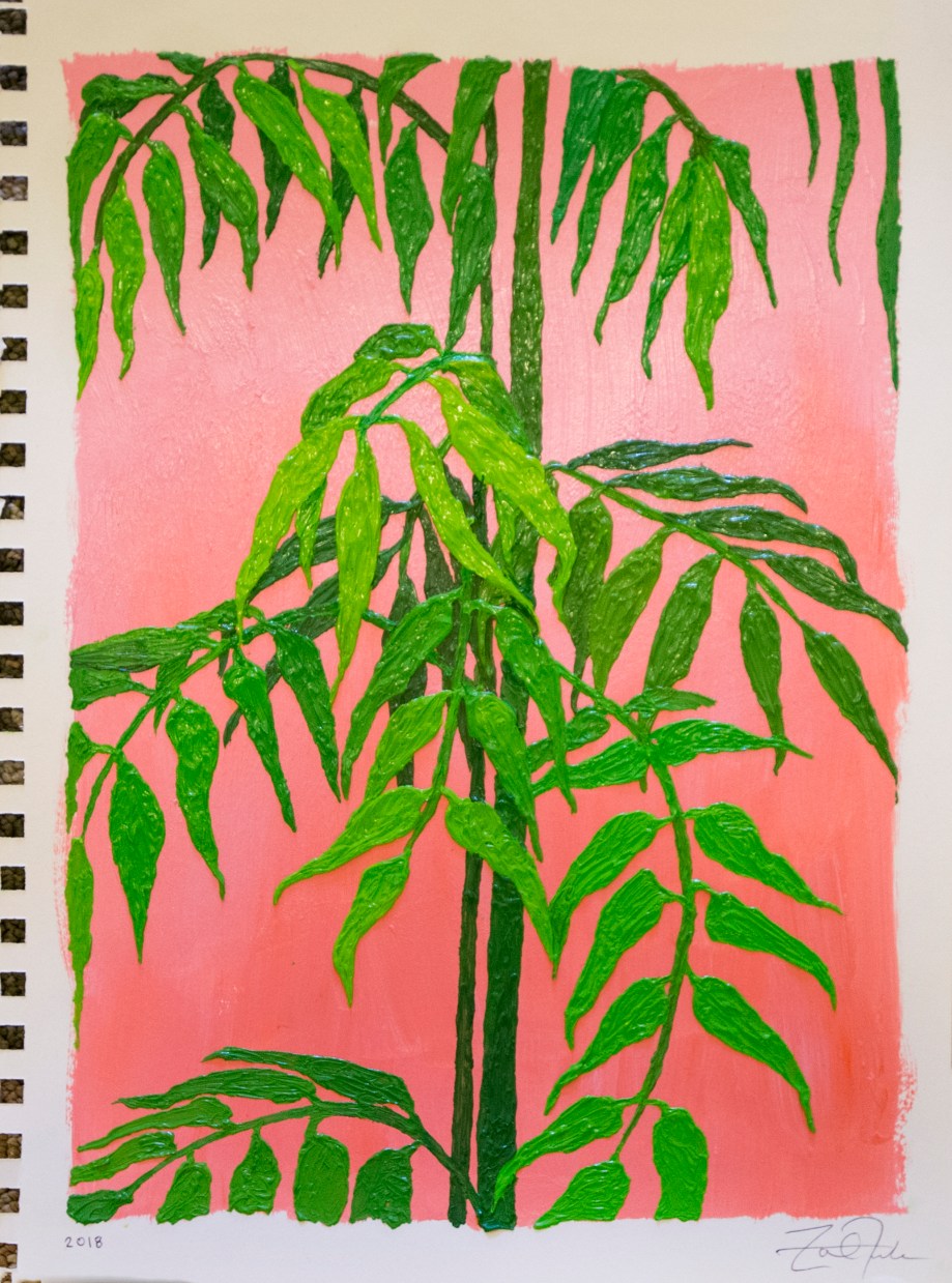 Alexas Living Room Plant