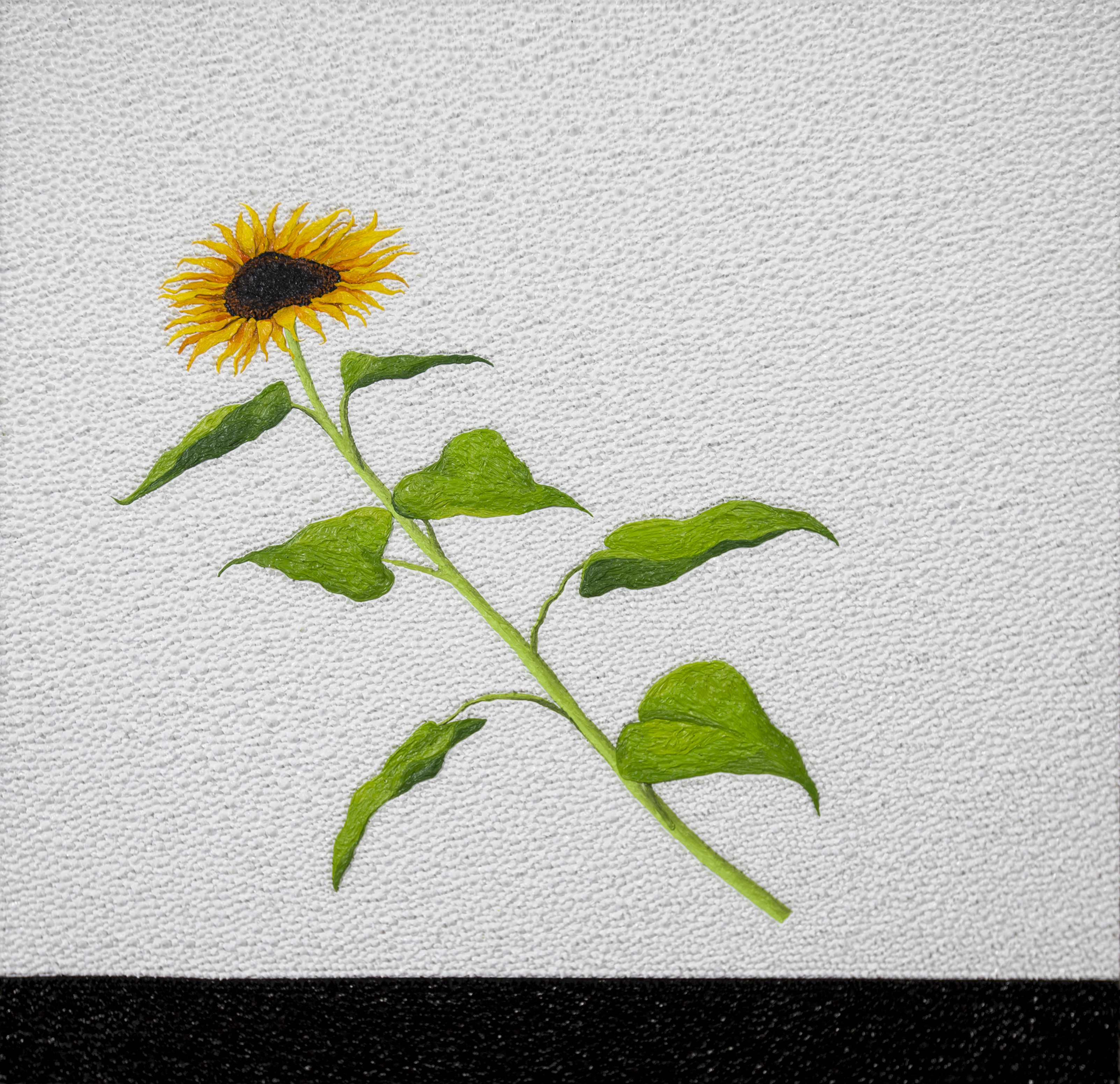 00103 The Sunflower Theory; Problems around a Sunflower