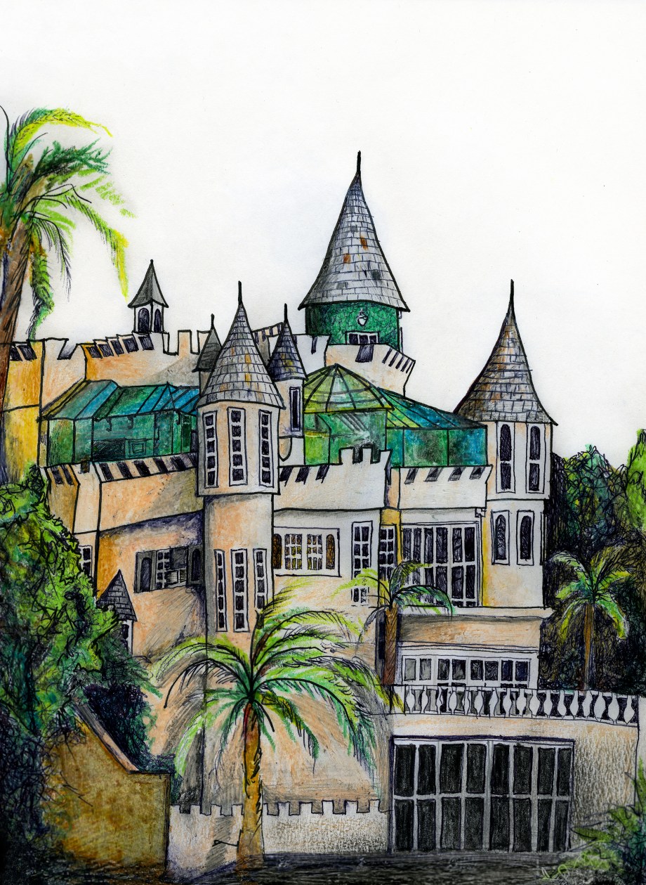 Castle in the Back Yard